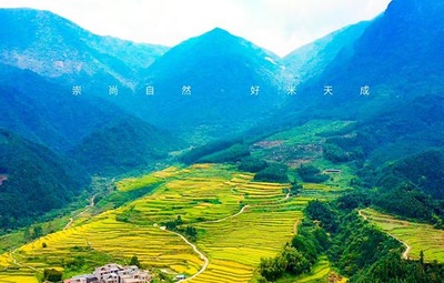 有機(jī)大米與稻谷種植的研發(fā)創(chuàng)新