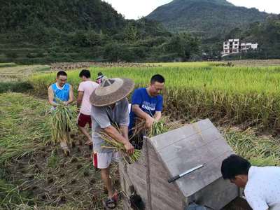 科技扶貧鑄豐碑 記我校駐村扶貧隊(duì)長宋劉斌榮獲“全國科技助力精準(zhǔn)扶貧工作先進(jìn)個(gè)人”榮譽(yù)稱號